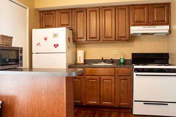 Kitchen Refrigerator